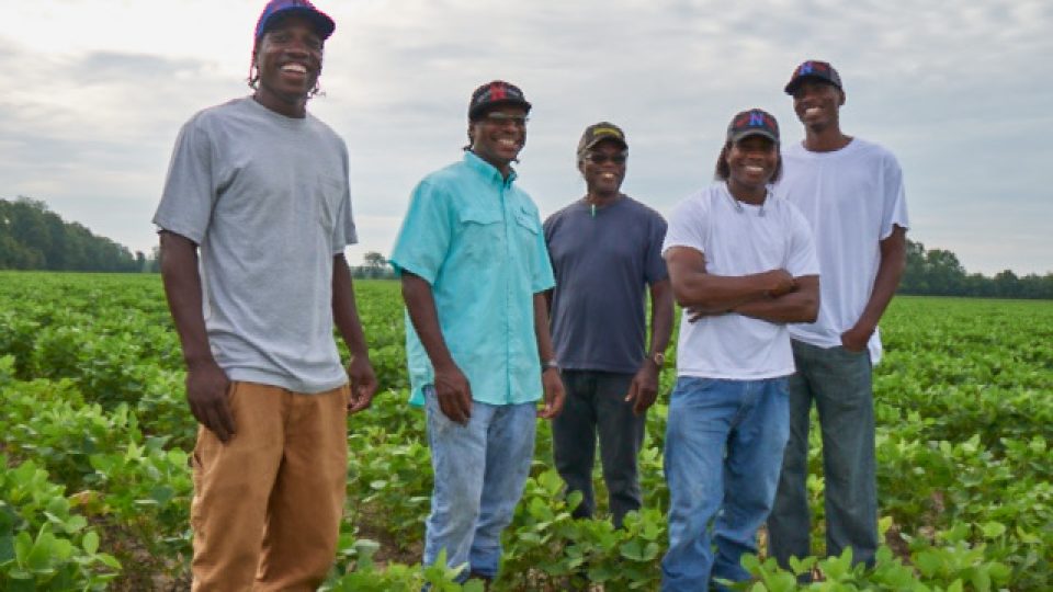 2024_07_16__Harvest___The_Nelsons-Baszile-FARM-419
