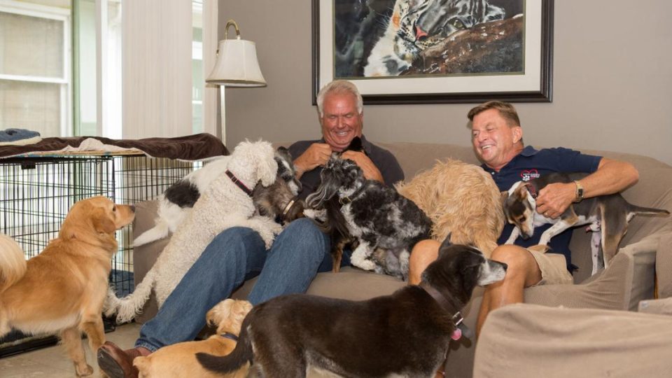 life in the doghouse
