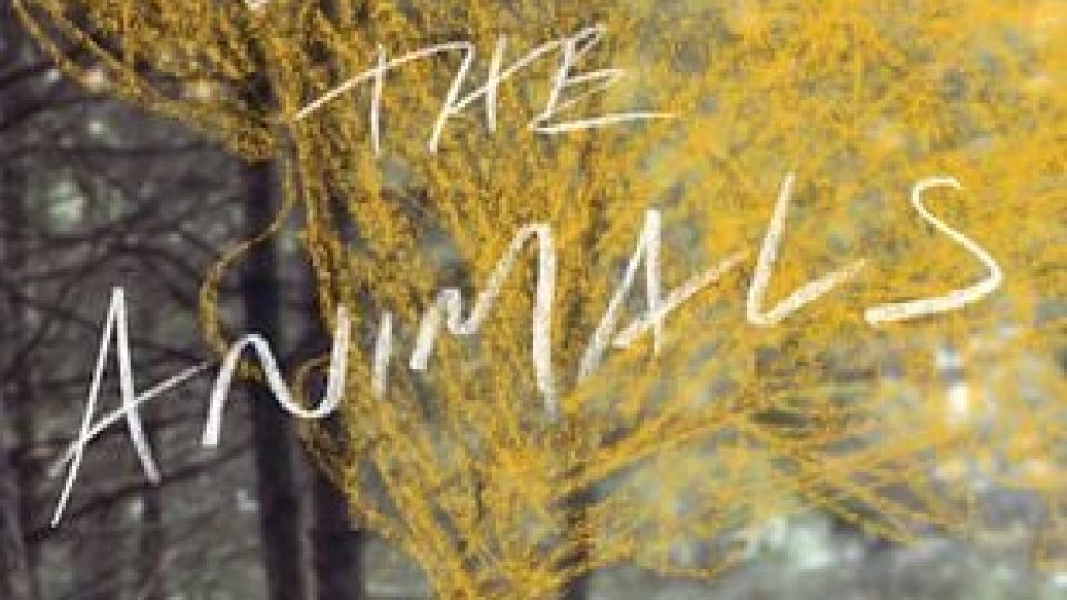 we the animals